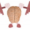 ejerciciocerebro